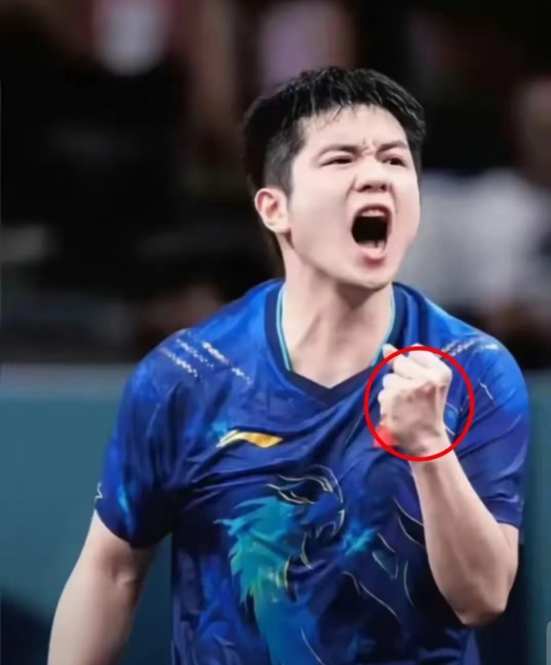 英国乒乓球队轻取比利时乒乓球队,樊振东完成帽子戏法 英国乒乓球队轻取比利时乒乓球队,樊振东完成帽子戏法