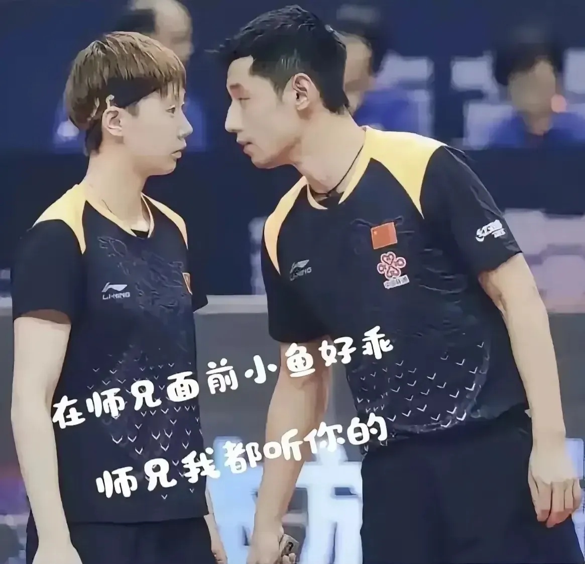 包含法国乒乓球队鏖战韩国乒乓球队，张继科完成帽子戏法的词条