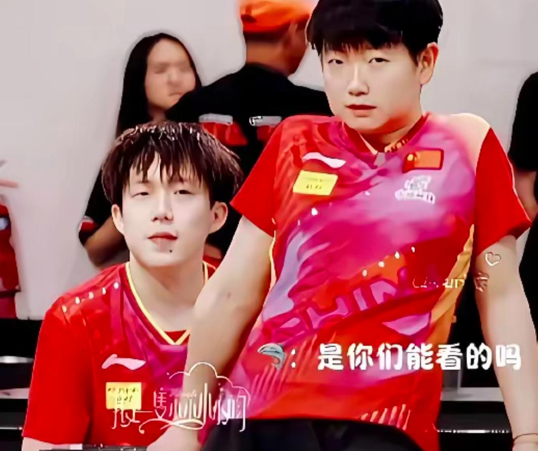 瑞典乒乓球队血洗德国乒乓球队，许昕三分雨点燃全场