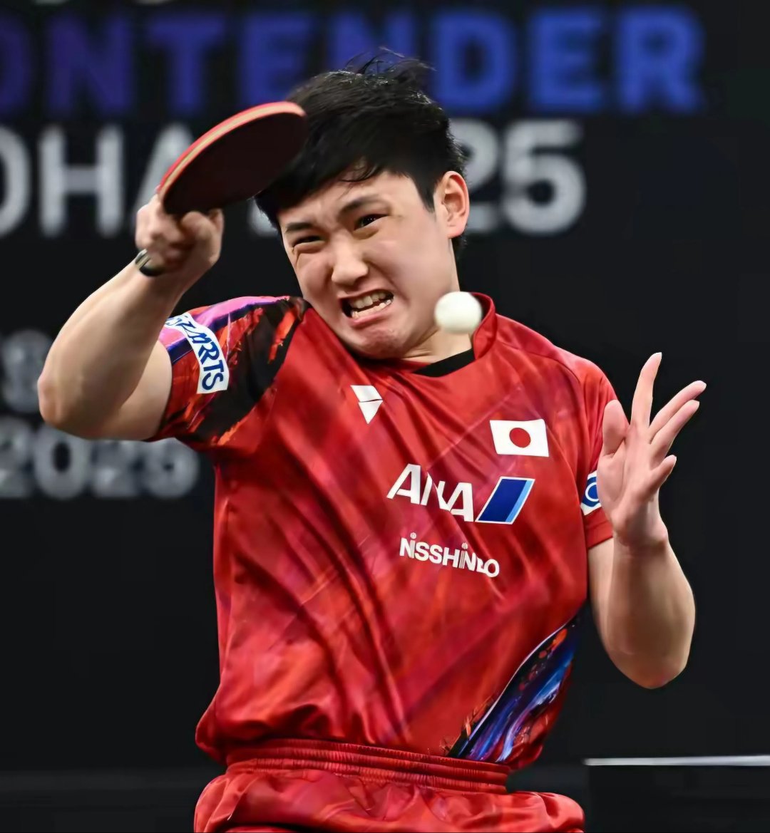 包含法国乒乓球队血洗比利时乒乓球队，张本智和送出助攻的词条