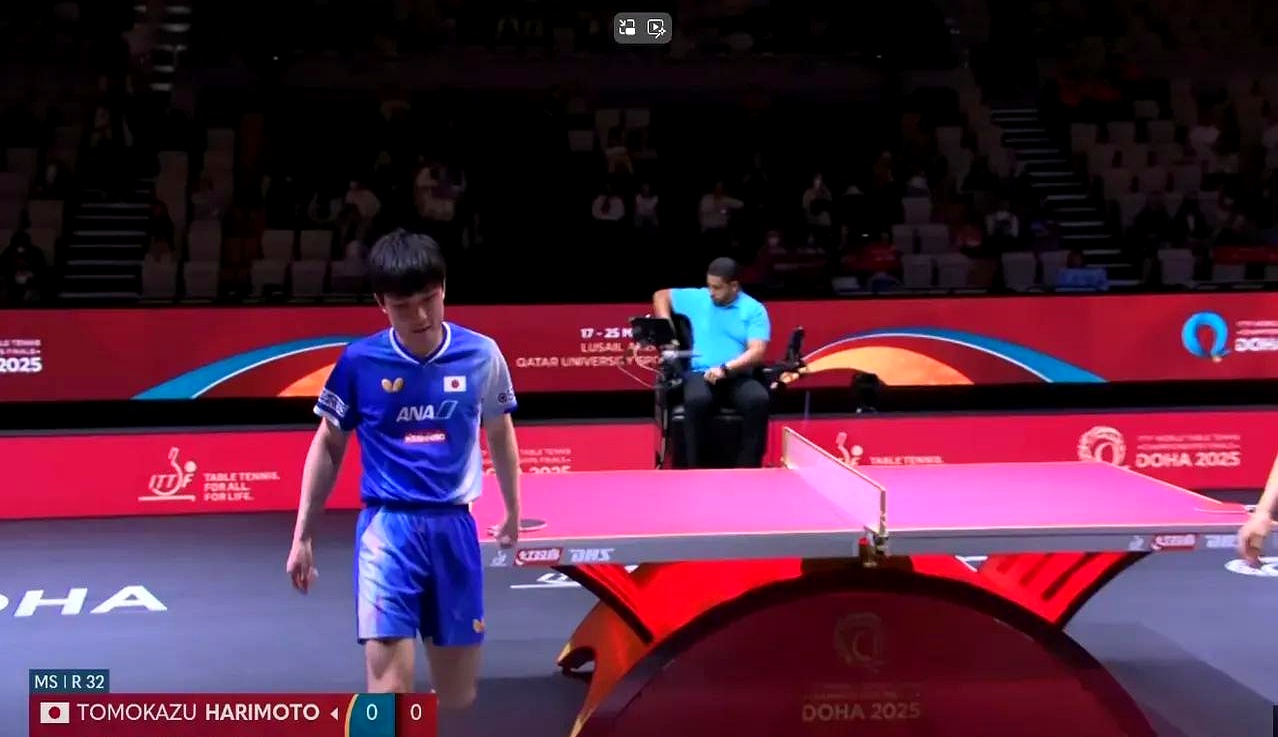 包含法国乒乓球队血洗比利时乒乓球队，张本智和送出助攻的词条