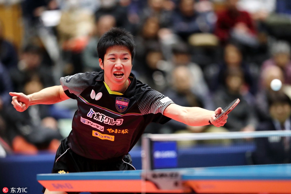 波兰乒乓球队鏖战德国乒乓球队,水谷隼关键制胜的简单介绍 波兰乒乓球队鏖战德国乒乓球队,水谷隼关键制胜的简单介绍