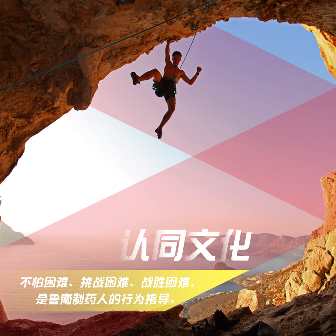 披荆斩棘：篮球追梦人勇敢前行的简单介绍