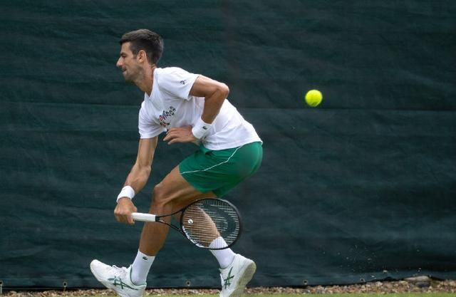 包含温网碾压美网，蒂姆高光表现的词条