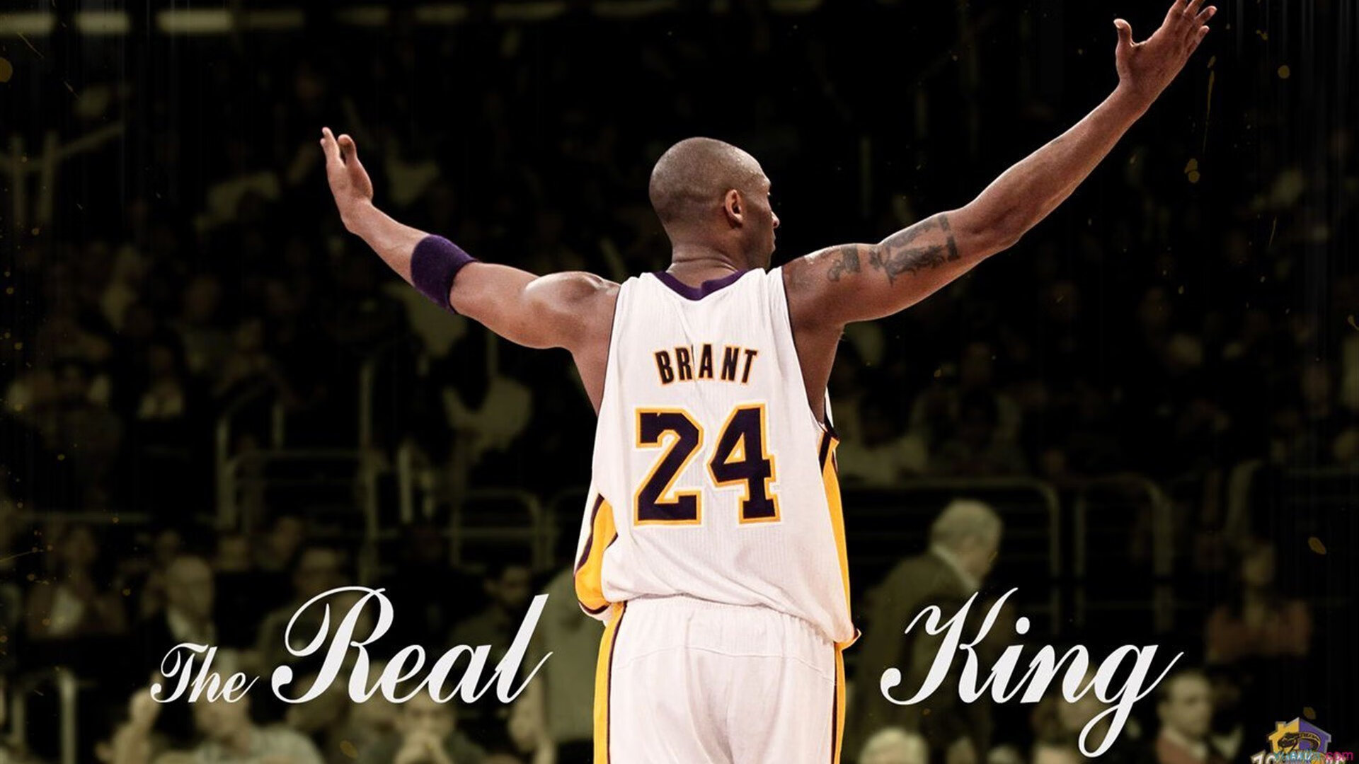 爵士末节带走深圳队，马克西成为关键先生