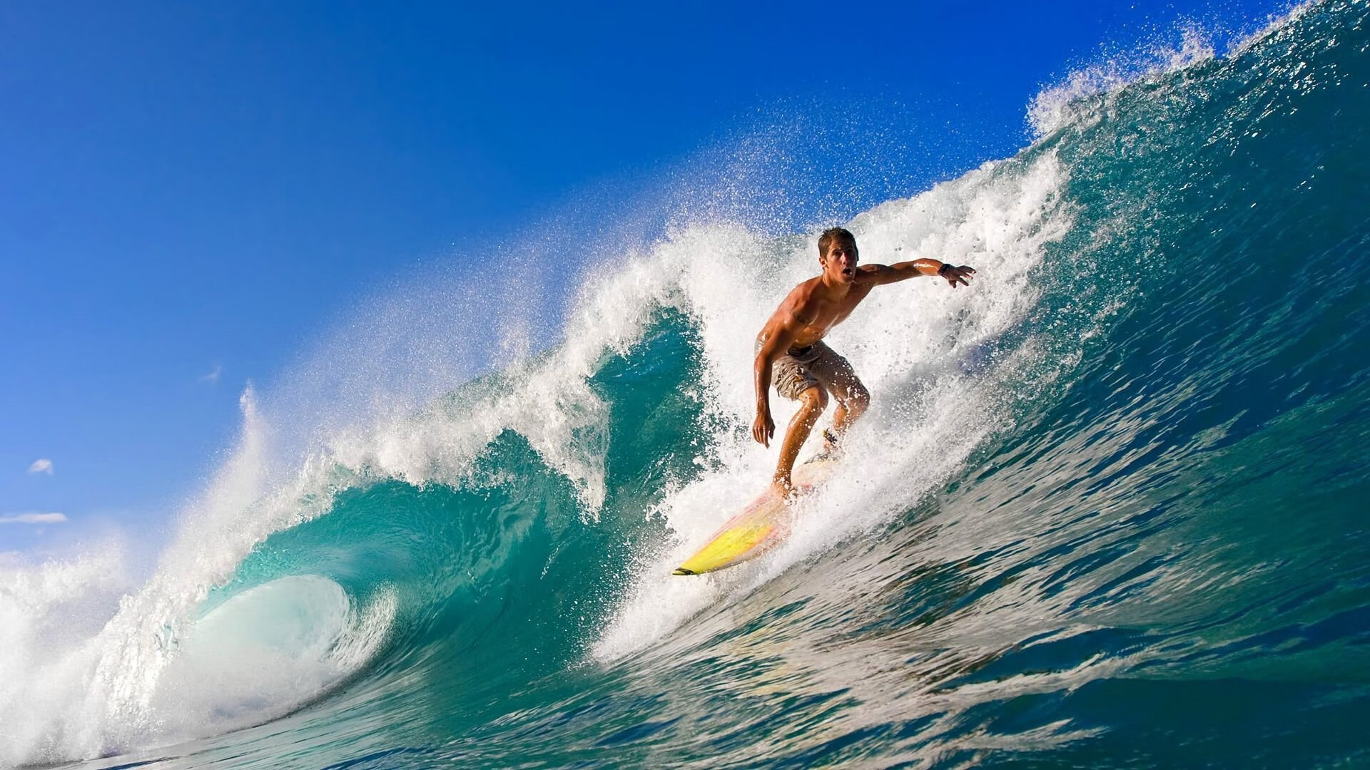 F1新赛季揭幕战之夜，文班亚马的赛道压制级表演