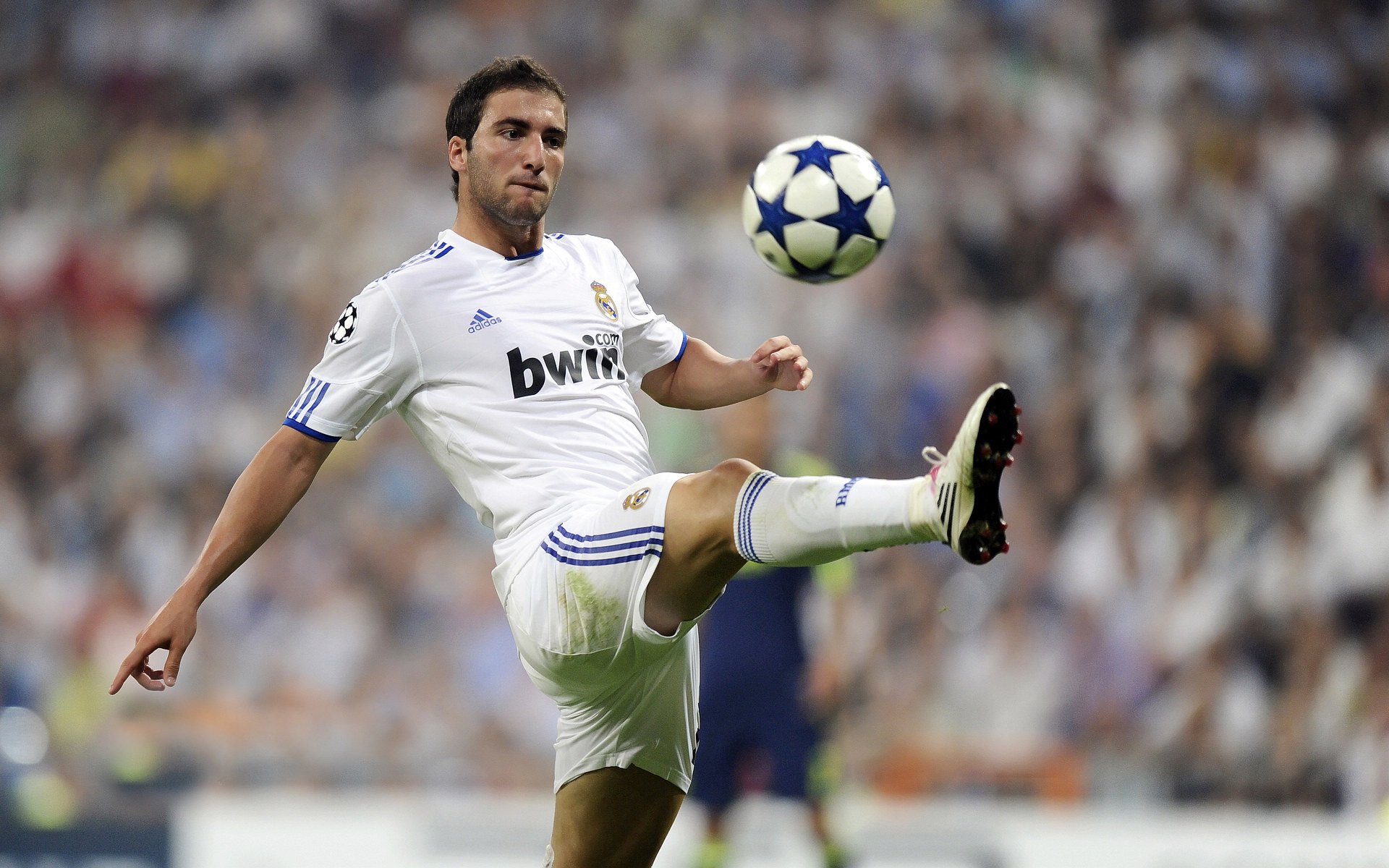 阿尔瓦雷斯，从大场面先生到国家象征—当伊拉克淘汰沙特背后的足球哲学